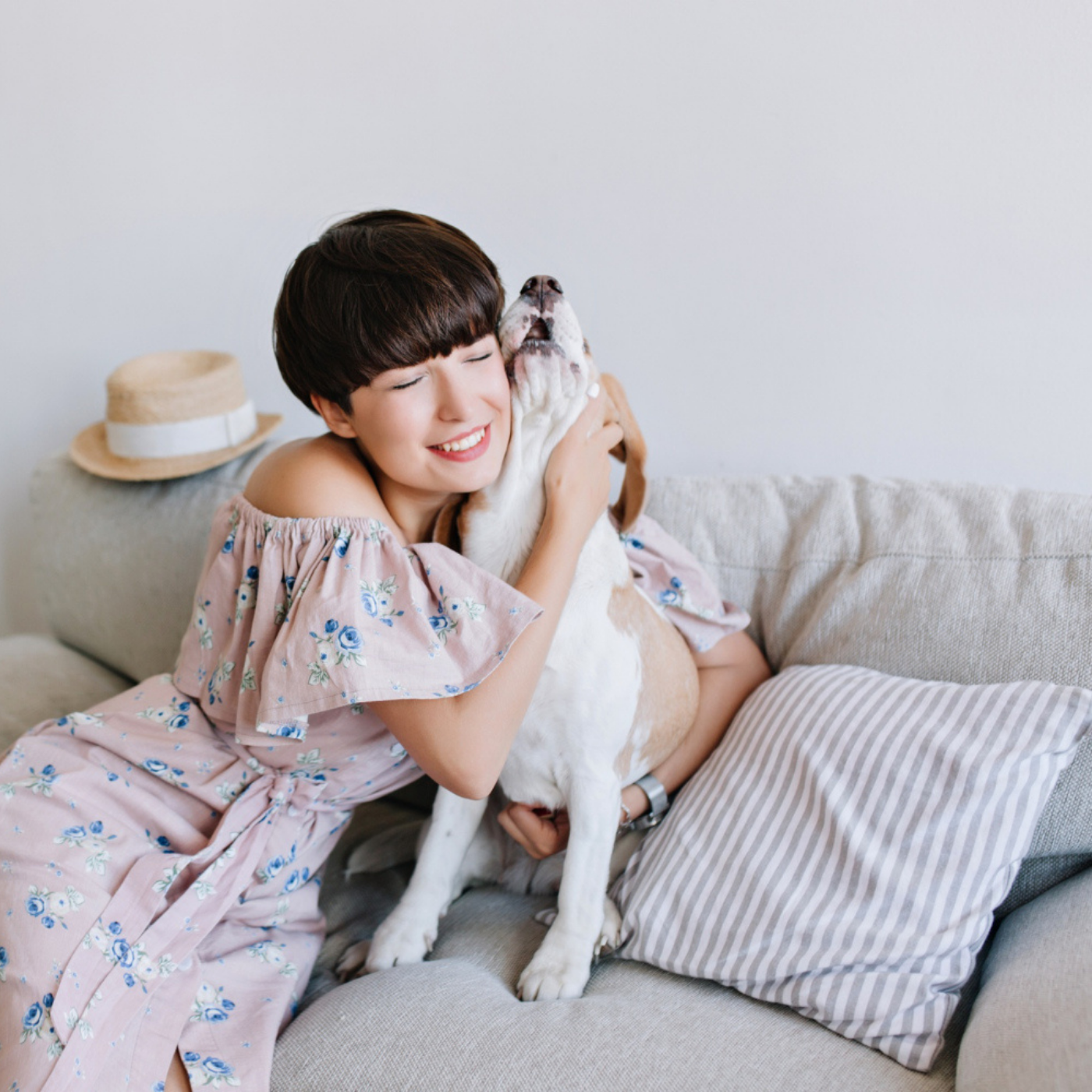 pet couch covers